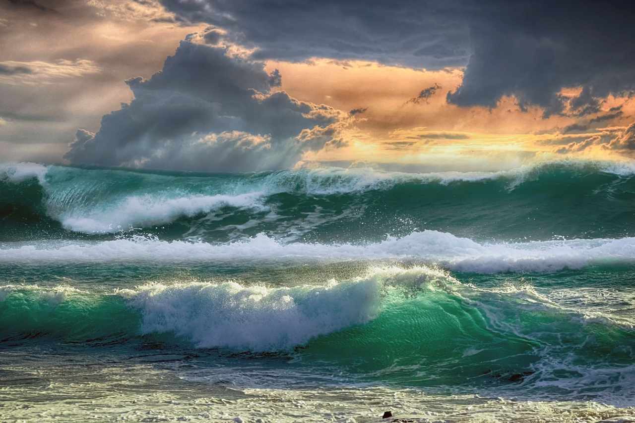 supply chain management release wave 1 2025