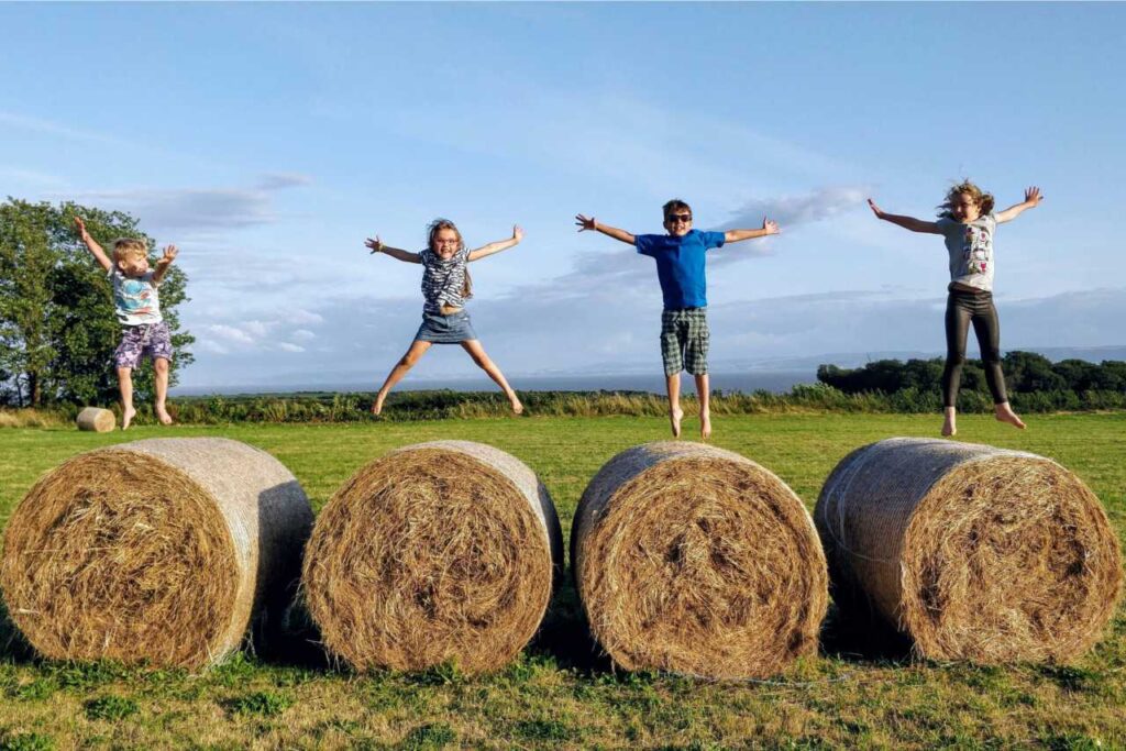 little princess trust case study Dynamics 365 For NonProfits