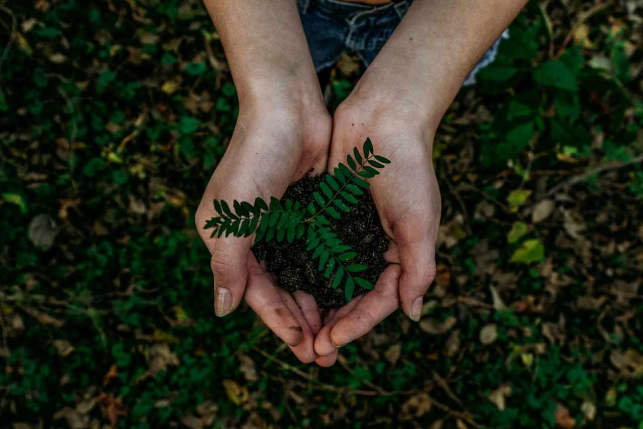 CSR environment