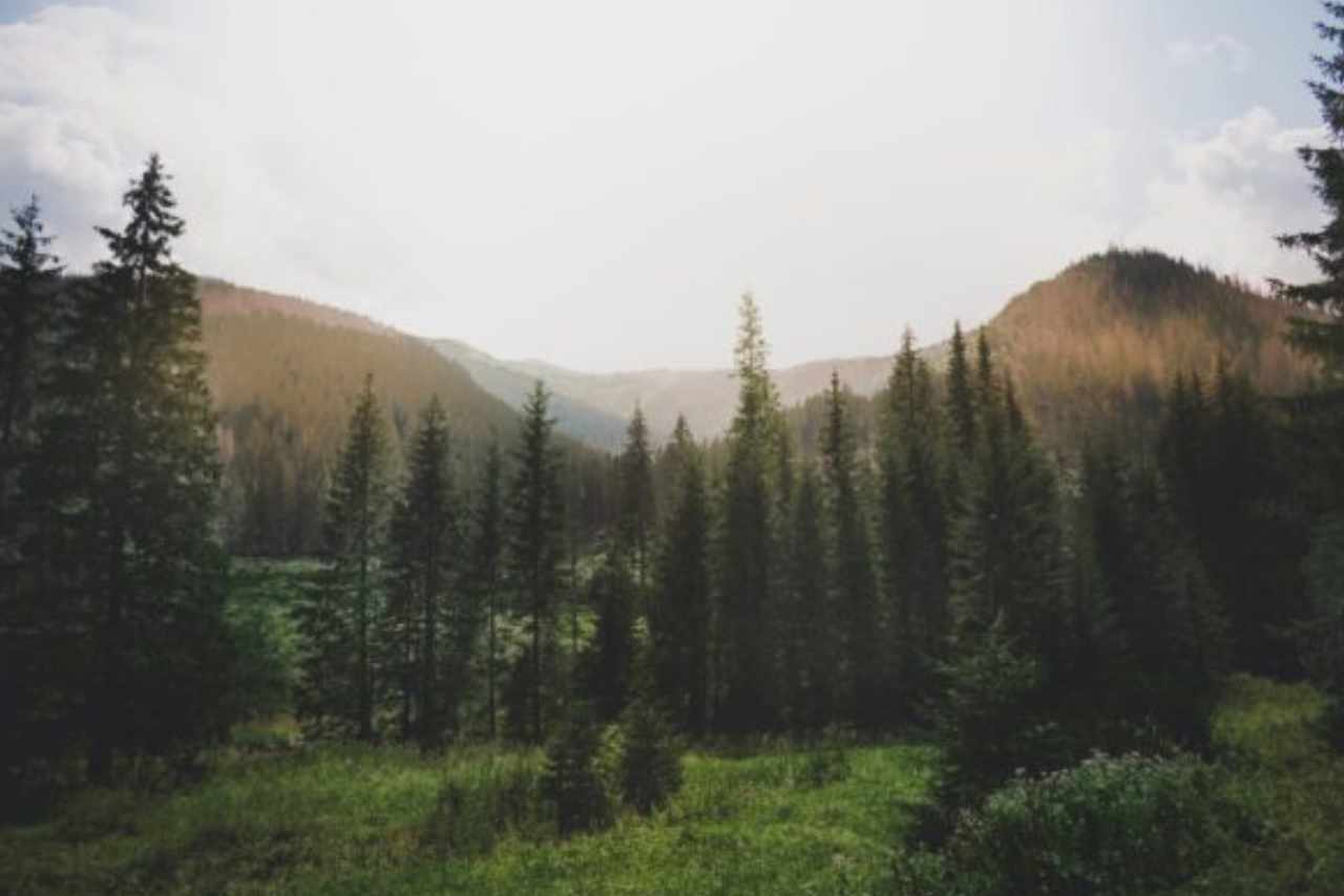 Sustainability