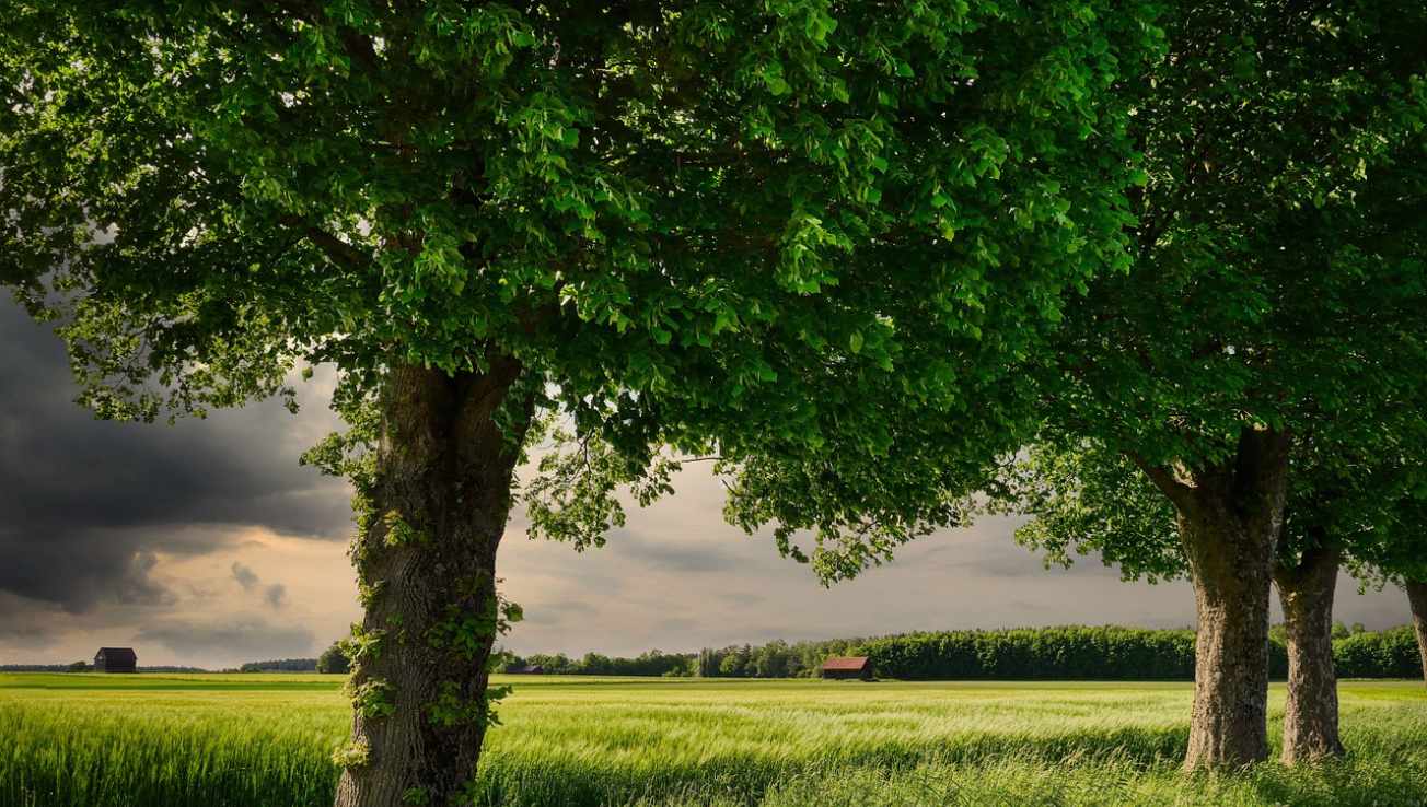 green industrial partnership