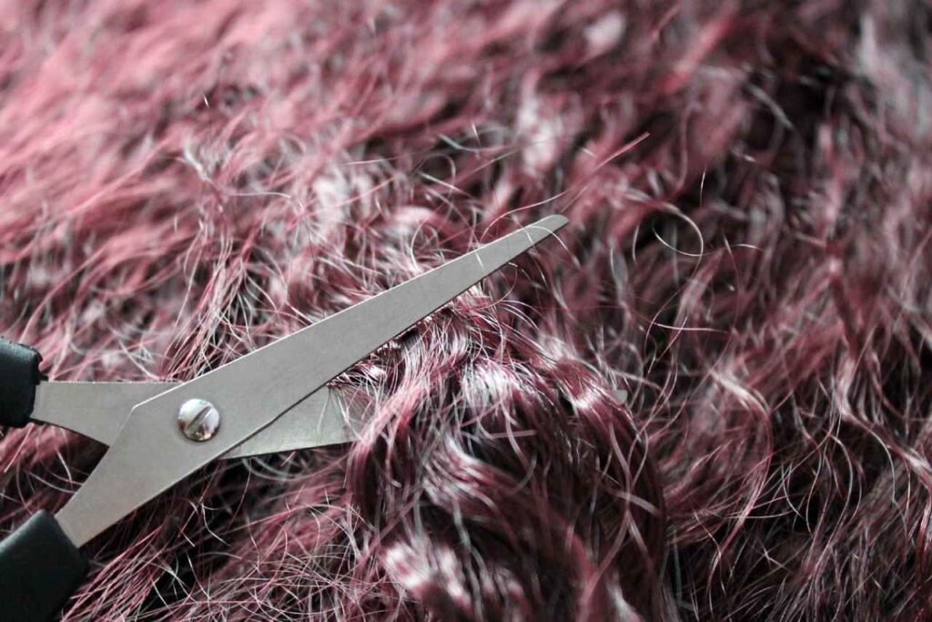 Grant Management Case Study