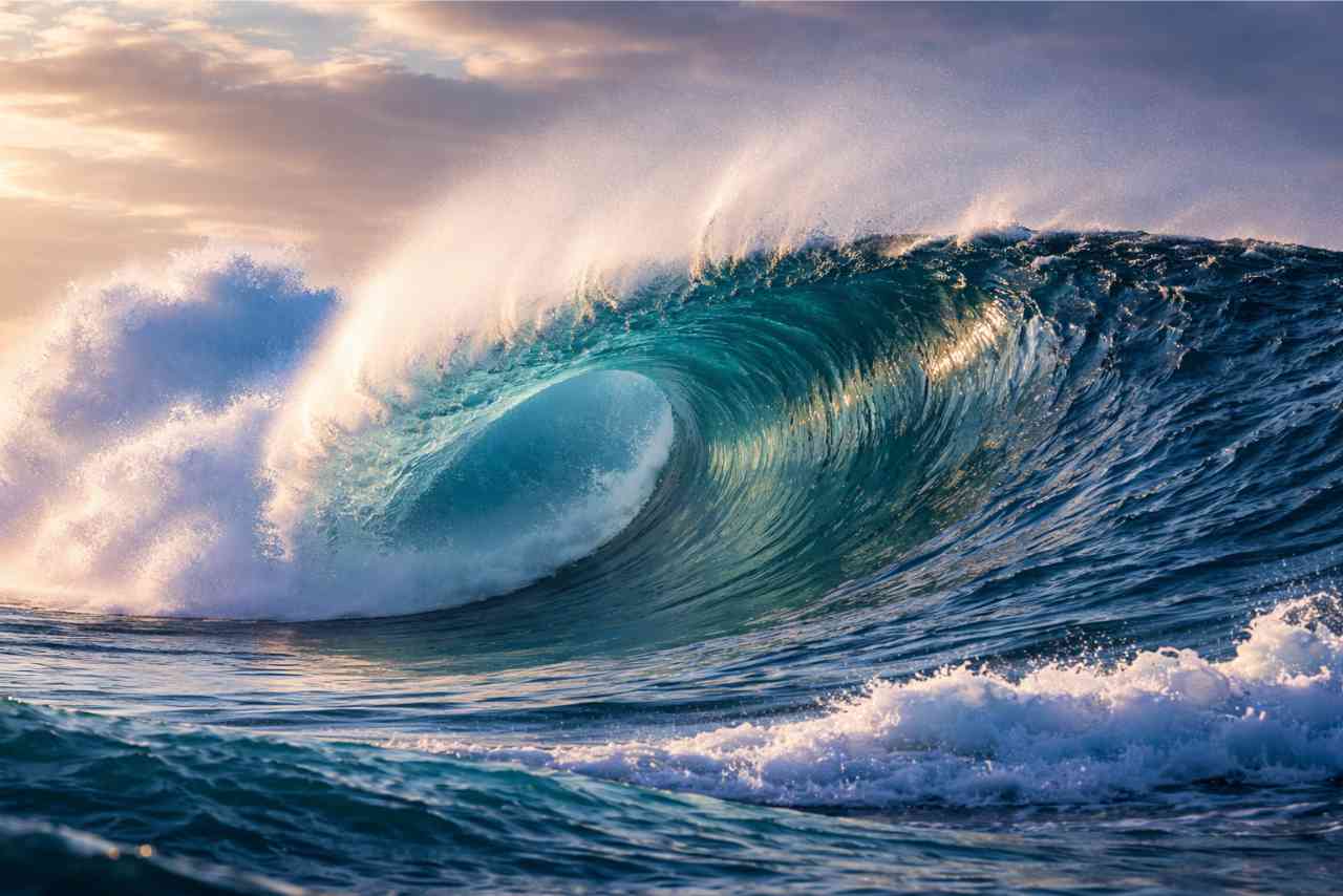 Dynamics 365 Release Wave 1 2026