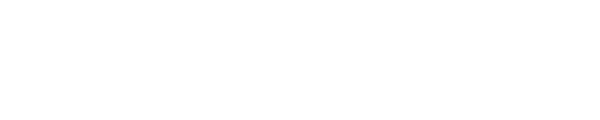 FormusDev logo white retina